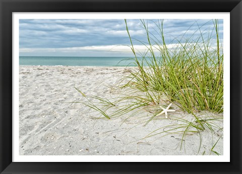 Framed Star Fish and Sea Oats Print