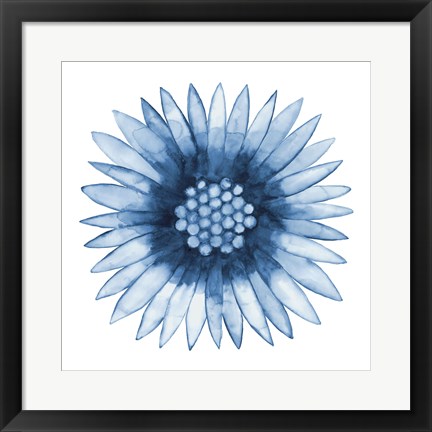 Framed Blue Daisy Print