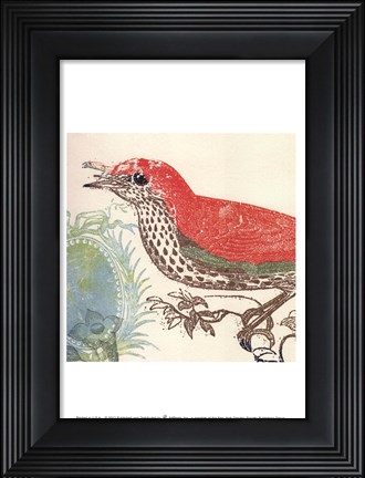 Framed Red Bird Print