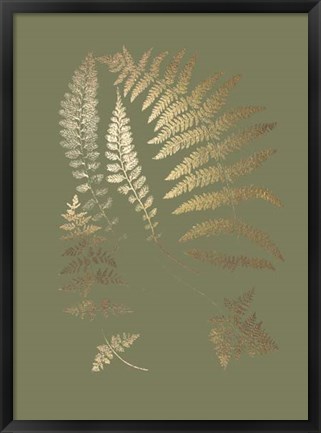 Framed Gold Foil Ferns II on Mid Green - Metallic Foil Print