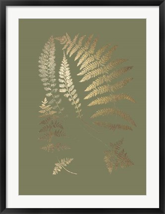 Framed Gold Foil Ferns II on Mid Green - Metallic Foil Print