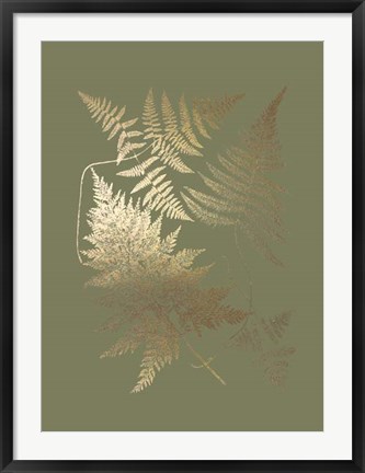 Framed Gold Foil Ferns III on Mid Green - Metallic Foil Print