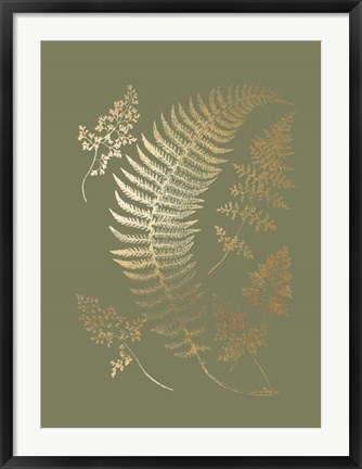 Framed Gold Foil Ferns IV on Mid Green - Metallic Foil Print