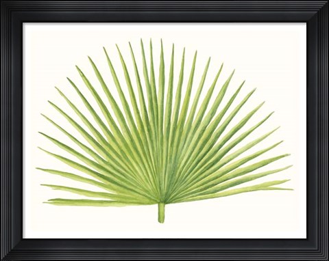 Framed Tropical Breeze Leaves III Print