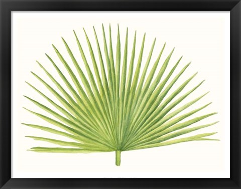 Framed Tropical Breeze Leaves III Print