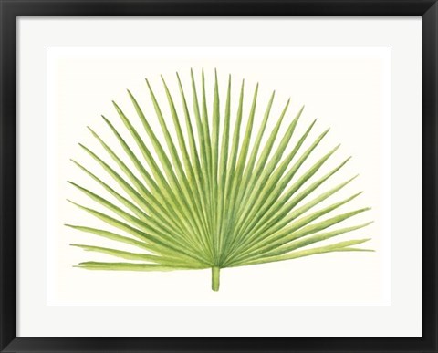 Framed Tropical Breeze Leaves III Print