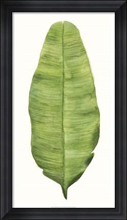 Framed Tropical Breeze Leaves IV Print