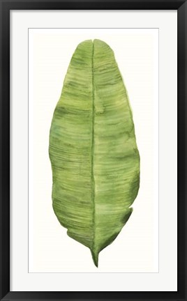 Framed Tropical Breeze Leaves IV Print