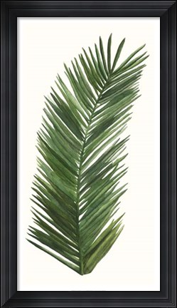 Framed Tropical Breeze Leaves V Print