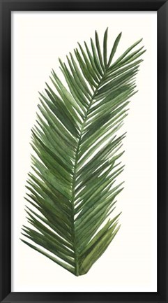 Framed Tropical Breeze Leaves V Print