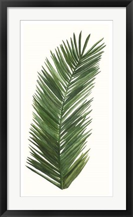 Framed Tropical Breeze Leaves V Print