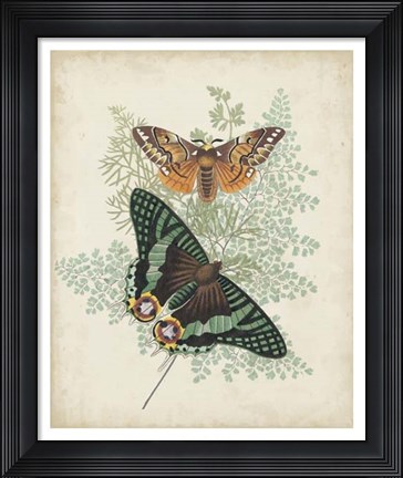 Framed Butterflies &amp; Ferns I Print