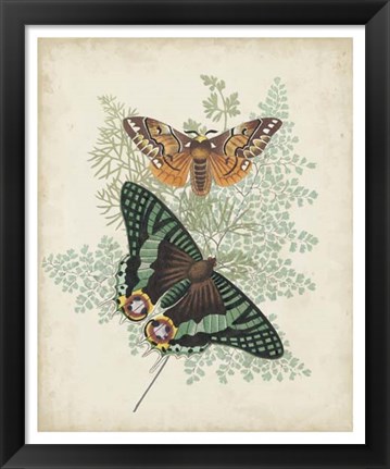 Framed Butterflies &amp; Ferns I Print