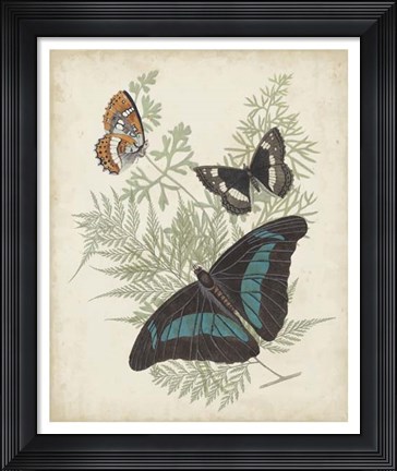 Framed Butterflies &amp; Ferns II Print