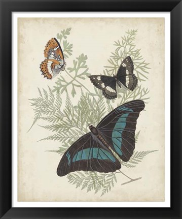 Framed Butterflies &amp; Ferns II Print