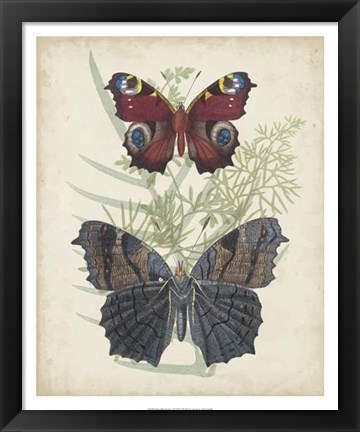 Framed Butterflies &amp; Ferns III Print