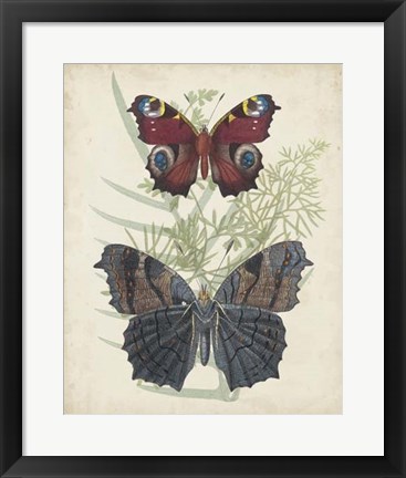 Framed Butterflies &amp; Ferns III Print