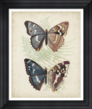 Framed Butterflies &amp; Ferns IV Print