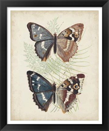 Framed Butterflies &amp; Ferns IV Print