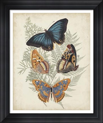 Framed Butterflies &amp; Ferns V Print