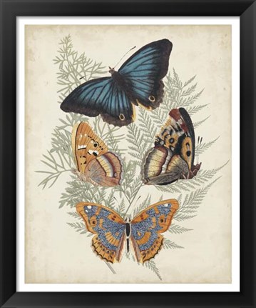 Framed Butterflies &amp; Ferns V Print