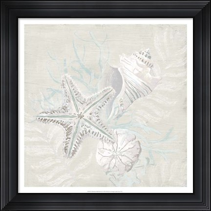 Framed Weathered Shell Sketch I Print