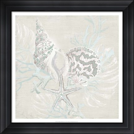 Framed Weathered Shell Sketch II Print