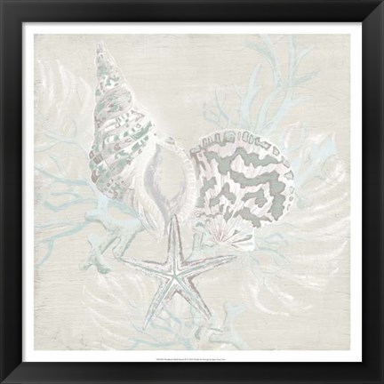 Framed Weathered Shell Sketch II Print