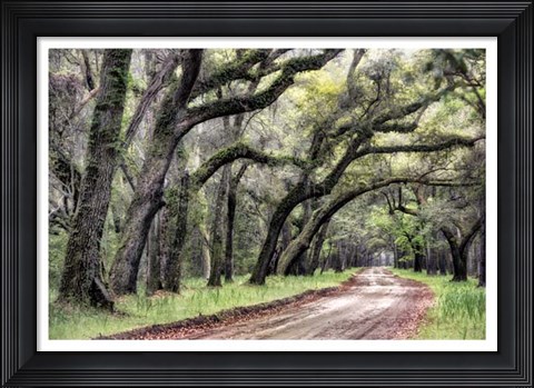 Framed Dirt Road II Print