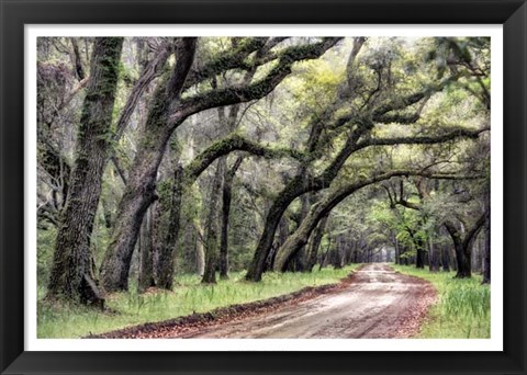 Framed Dirt Road II Print