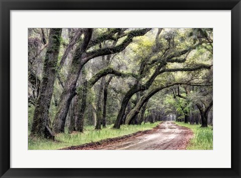 Framed Dirt Road II Print