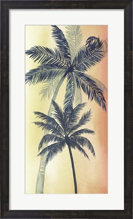 Framed Vintage Palms II Print