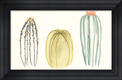 Framed Funky Succulents III Print