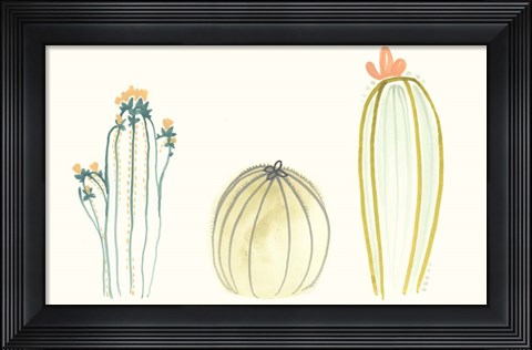 Framed Funky Succulents IV Print