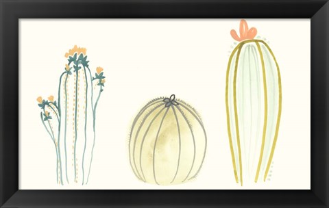 Framed Funky Succulents IV Print