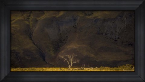 Framed Tree Print