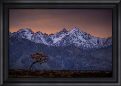 Framed Tree and the Mountain Print