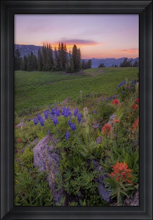 Framed Flower Sunset Print