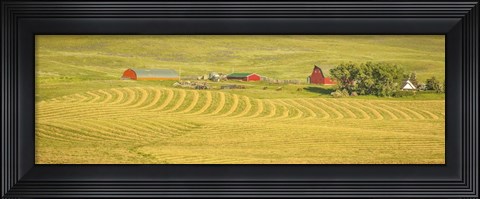 Framed Farm Panorama Print