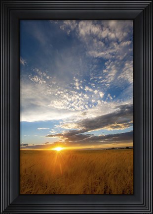 Framed Wheat Field Sunset Print