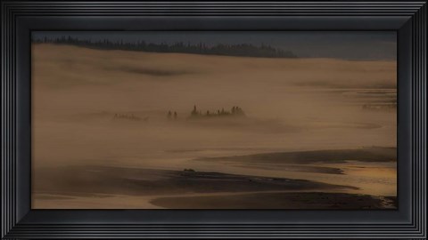 Framed Trees in the Fog Print