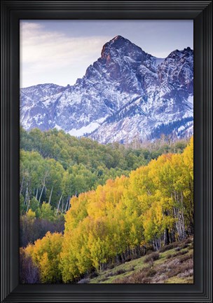 Framed Mountain Foliage 03 Print