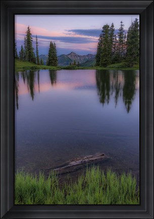 Framed Evergreen Reflections Print