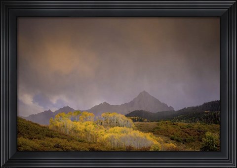 Framed Mountain Aspens Print
