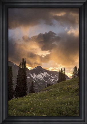 Framed Mountain Evergreens Print