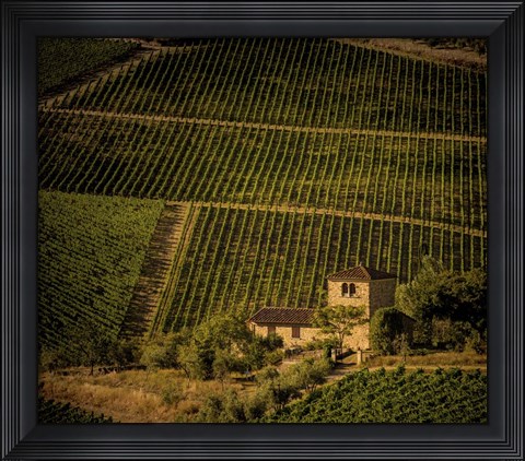 Framed Vineyard Print