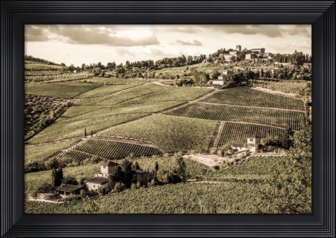 Framed Tuscany Vineyard Print