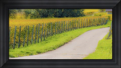 Framed Road along Fields Print