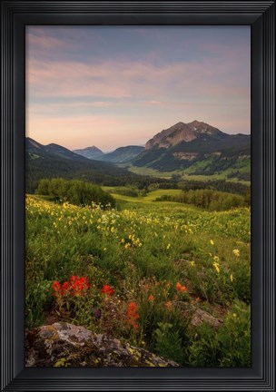 Framed Wild Flowers I Print