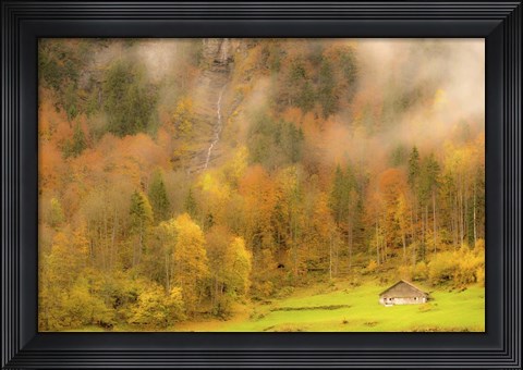 Framed Fall Colors Print